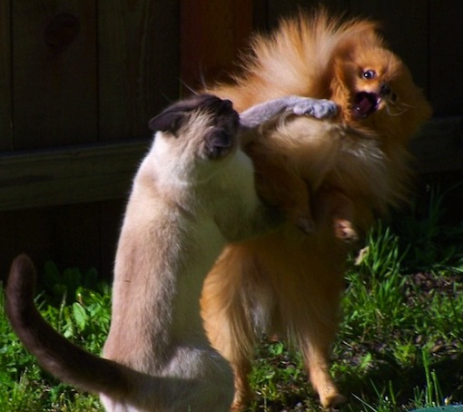 так не надо