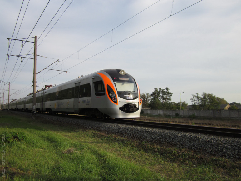 осень, цветы, листья, деревья, лесничество